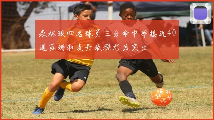 森林狼四名球员三分命中率接近40道苏姆和麦丹表现尤为突出