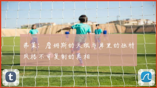 弗莱：詹姆斯的天赋与库里的独特风格不可复制的真相