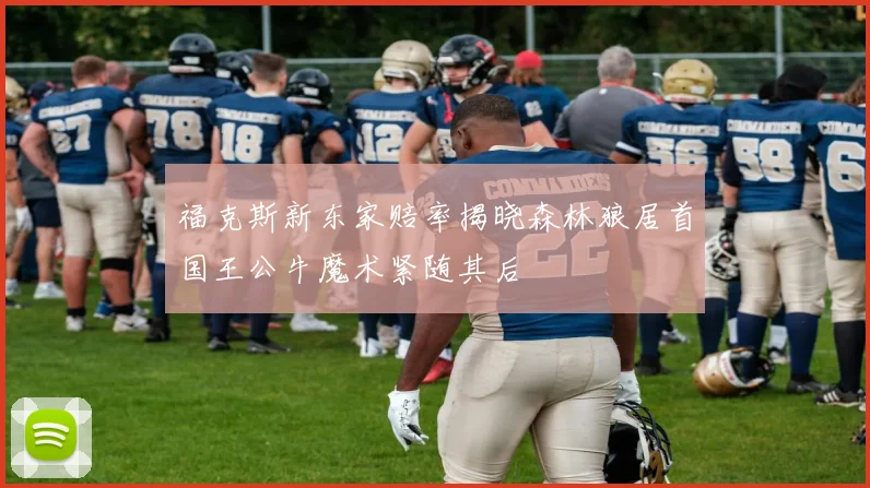 福克斯新东家赔率揭晓森林狼居首国王公牛魔术紧随其后